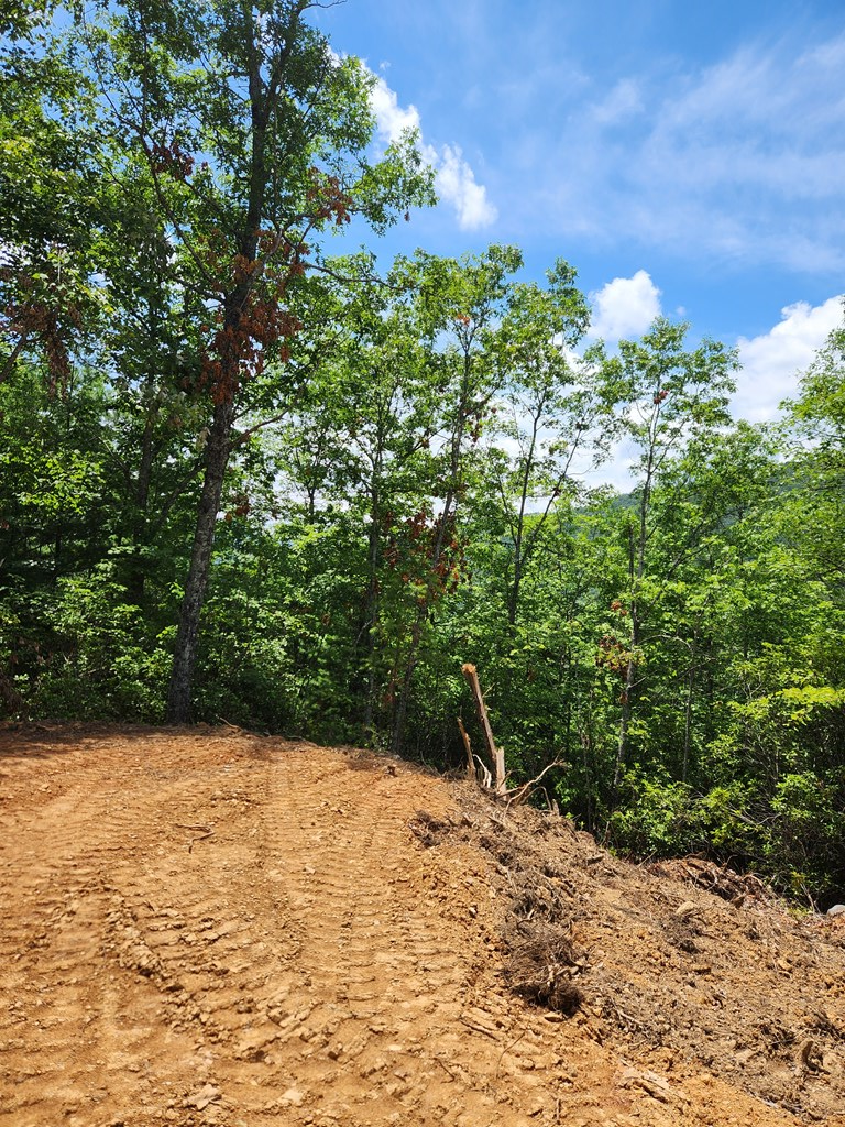 Burning Ember Trail #7A, MURPHY, North Carolina image 5