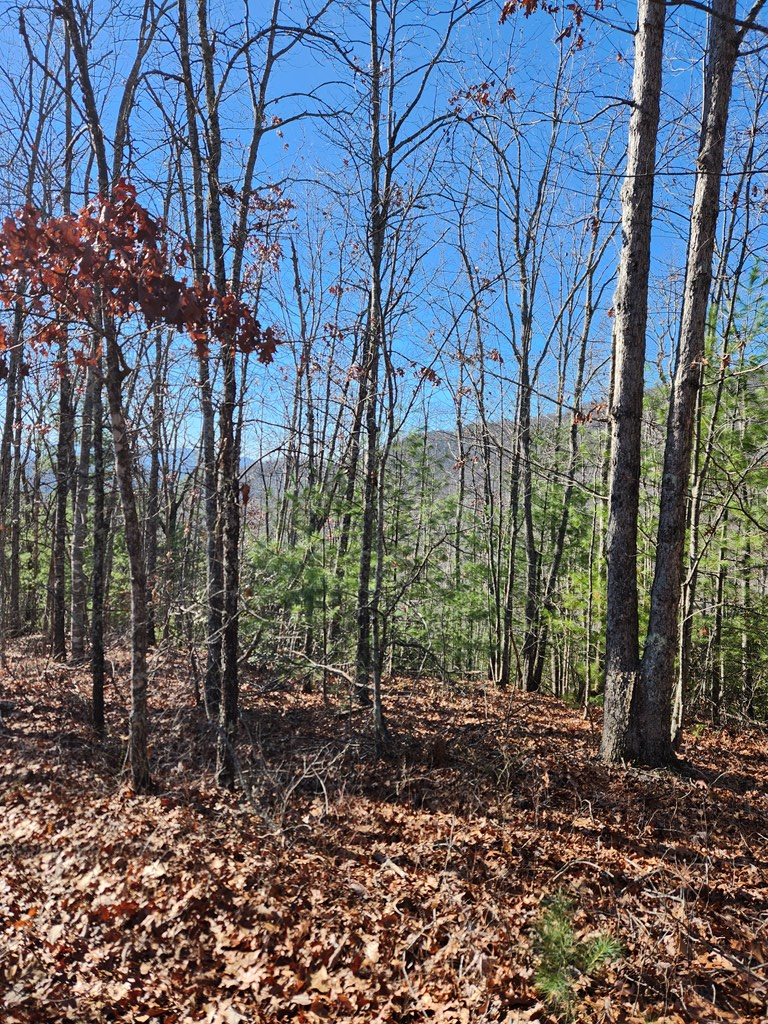 Burning Ember Trail #7A, MURPHY, North Carolina image 3