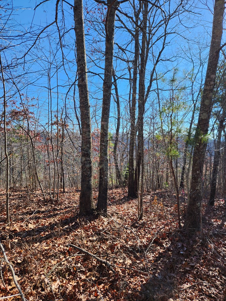 Burning Ember Trail #7A, MURPHY, North Carolina image 2