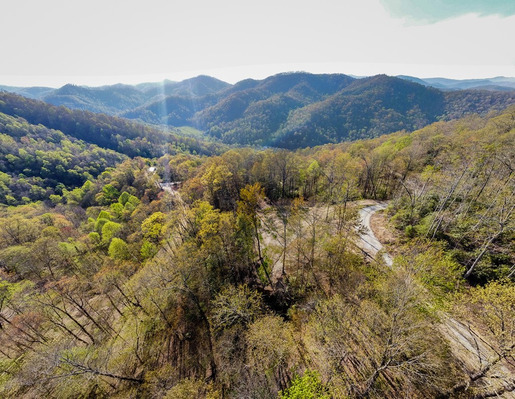 650 Walnut Cove Branch #19, ROBBINSVILLE, North Carolina image 8