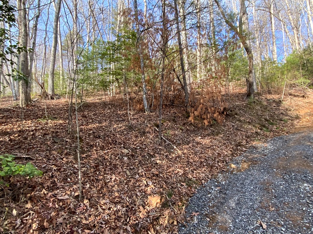 Lot 11 Ivy Log Rd #11, MURPHY, North Carolina image 6