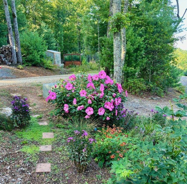 215 Legendary Ridge, MURPHY, North Carolina image 35