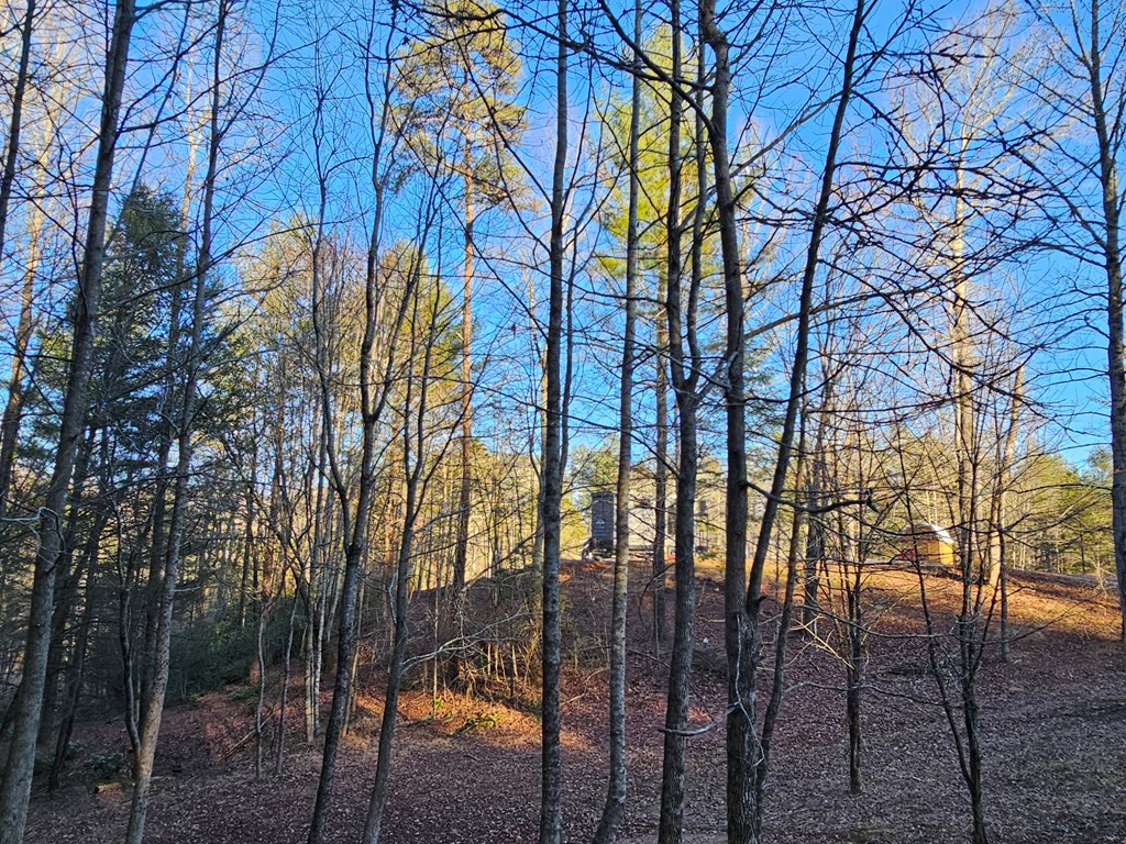 16 Merlin Trail #26, MURPHY, North Carolina image 4