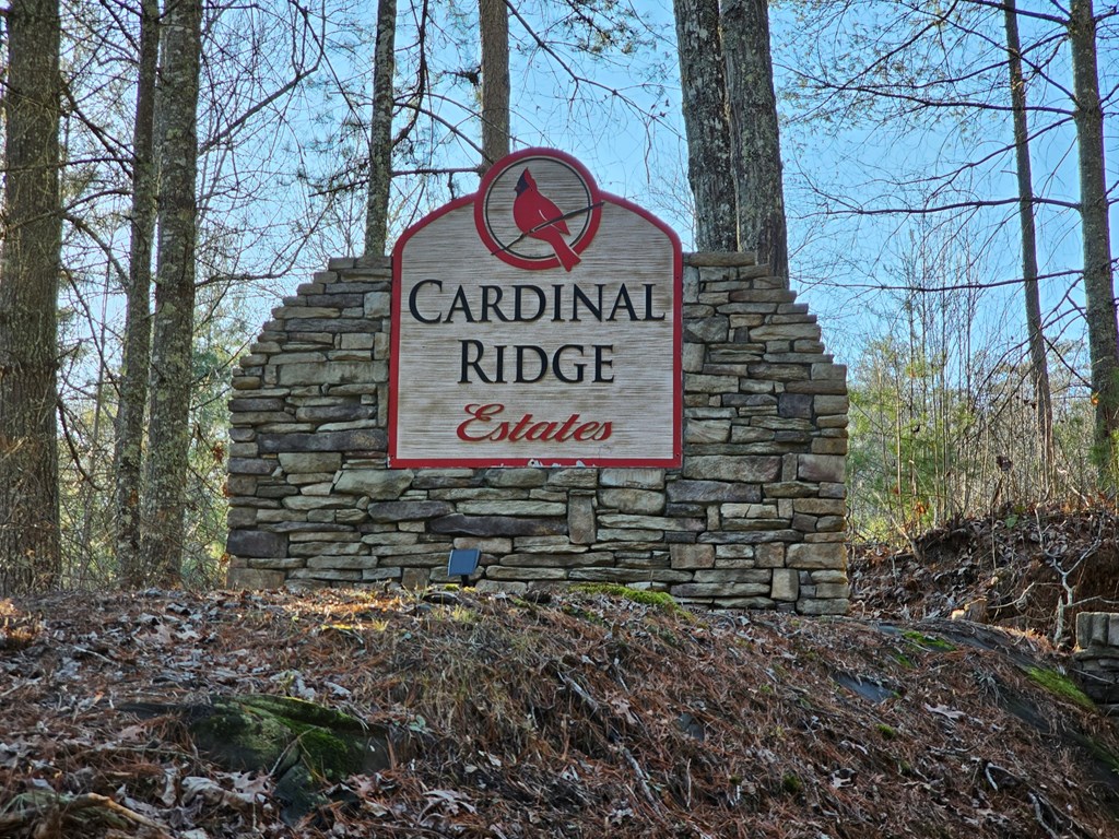 16 Merlin Trail #26, MURPHY, North Carolina image 2