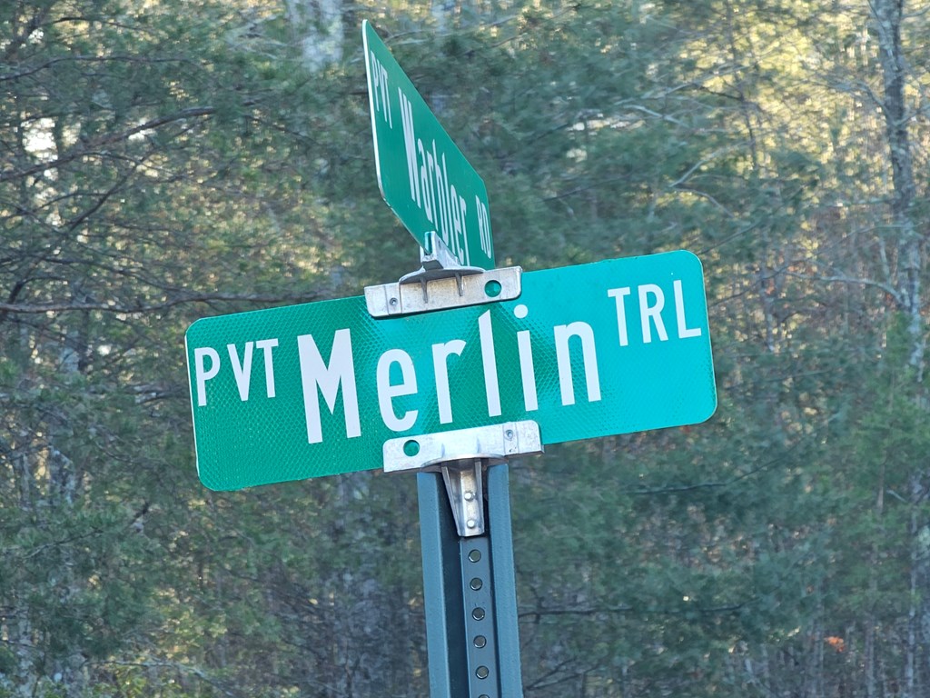 16 Merlin Trail #26, MURPHY, North Carolina image 3