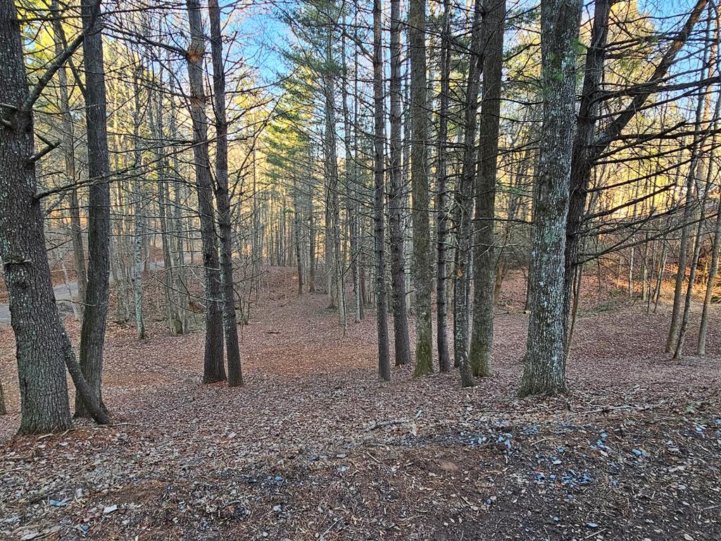 16 Merlin Trail #26, MURPHY, North Carolina image 1
