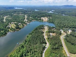 Lot 288 Ridge Pointe Way #288, BLAIRSVILLE, Georgia image 42