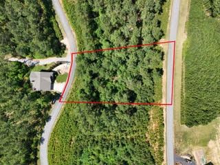 Lot 288 Ridge Pointe Way #288, BLAIRSVILLE, Georgia image 40