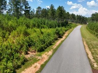 Lot 288 Ridge Pointe Way #288, BLAIRSVILLE, Georgia image 44