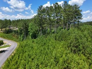 Lot 288 Ridge Pointe Way #288, BLAIRSVILLE, Georgia image 4