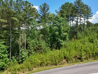 Lot 288 Ridge Pointe Way #288, BLAIRSVILLE, Georgia image 6