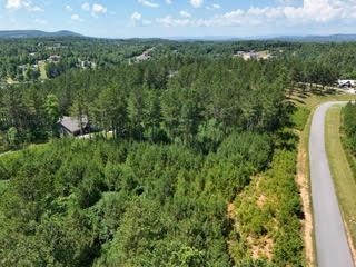 Lot 288 Ridge Pointe Way #288, BLAIRSVILLE, Georgia image 43