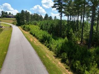 Lot 288 Ridge Pointe Way #288, BLAIRSVILLE, Georgia image 9