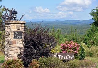 Lot 288 Ridge Pointe Way #288, BLAIRSVILLE, Georgia image 2