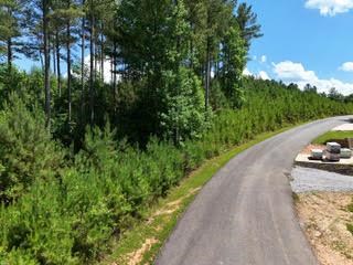 Lot 288 Ridge Pointe Way #288, BLAIRSVILLE, Georgia image 35