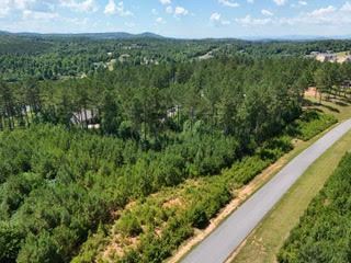 Lot 288 Ridge Pointe Way #288, BLAIRSVILLE, Georgia image 38