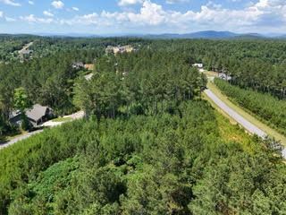 Lot 288 Ridge Pointe Way #288, BLAIRSVILLE, Georgia image 37