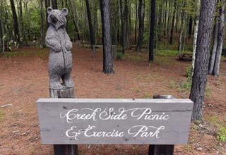 Lot 288 Ridge Pointe Way #288, BLAIRSVILLE, Georgia image 12