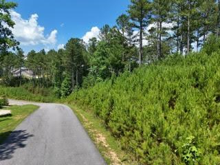 Lot 288 Ridge Pointe Way #288, BLAIRSVILLE, Georgia image 7