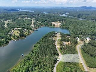 Lot 288 Ridge Pointe Way #288, BLAIRSVILLE, Georgia image 45