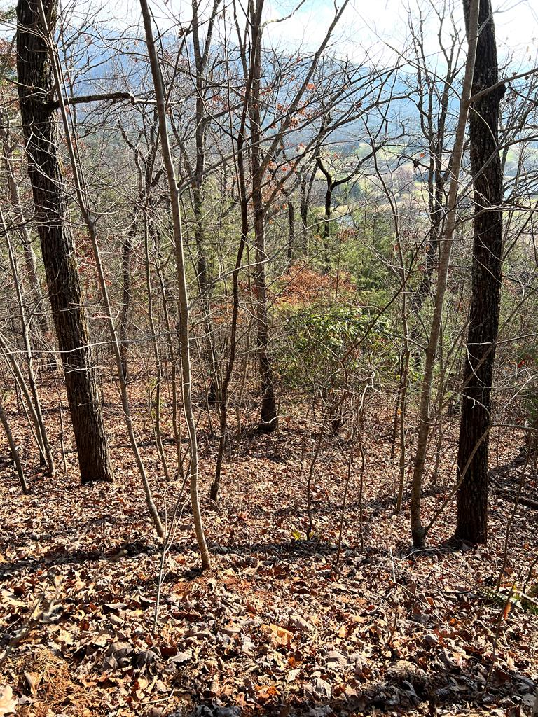 Lot 56C Indian Trail #56C, HAYESVILLE, North Carolina image 1