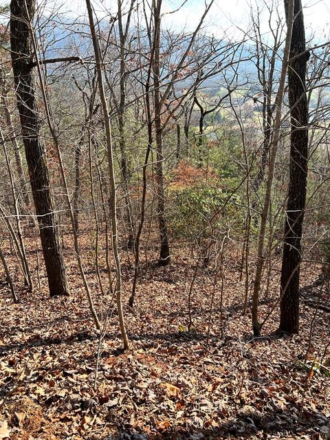 Vacant Land For Sale - LOT 56C Indian Trail #56C<br/> HAYESVILLE, NC 28904
