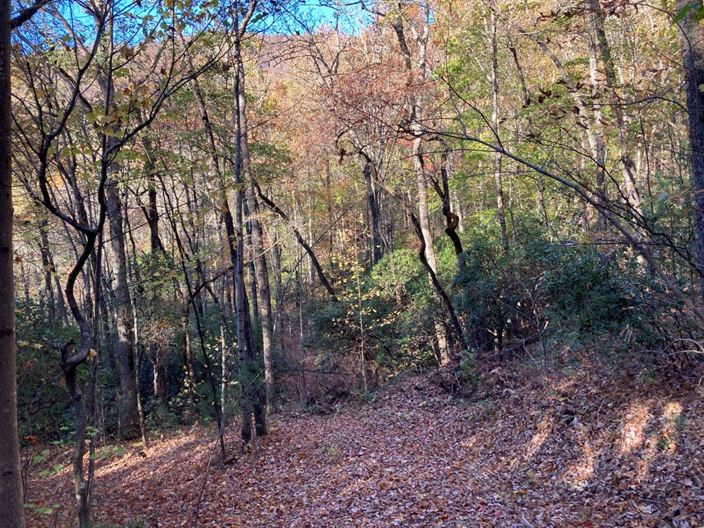 4.62 Acr Horton Road, MURPHY, North Carolina image 2