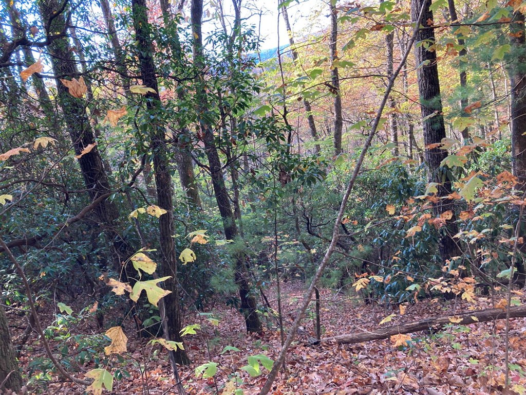4.62 Acr Horton Road, MURPHY, North Carolina image 17