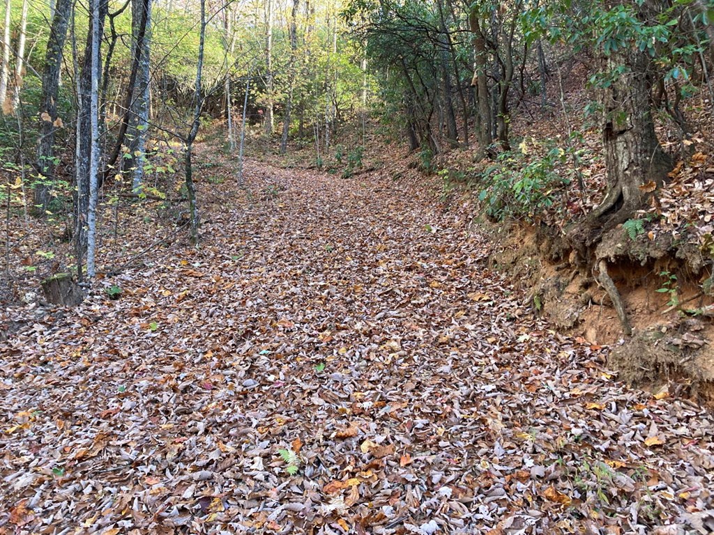 4.62 Acr Horton Road, MURPHY, North Carolina image 4