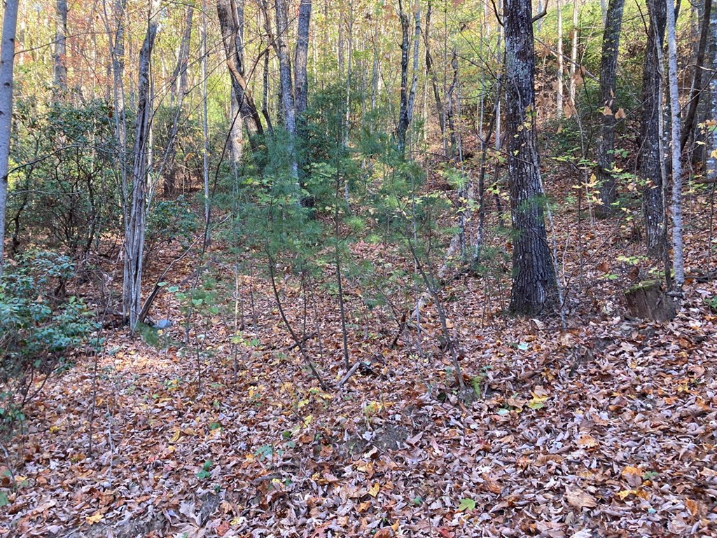 4.62 Acr Horton Road, MURPHY, North Carolina image 3