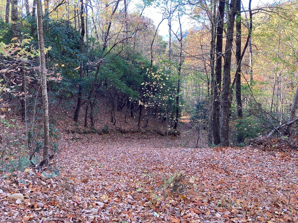 4.62 Acr Horton Road, MURPHY, North Carolina image 12