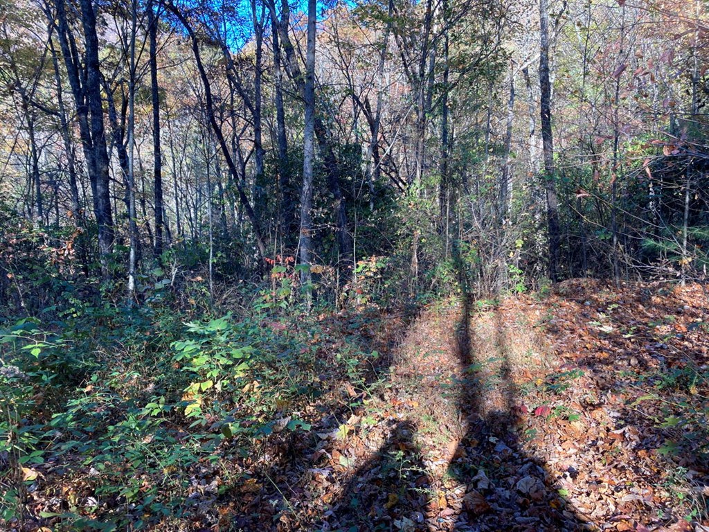 4.62 Acr Horton Road, MURPHY, North Carolina image 6