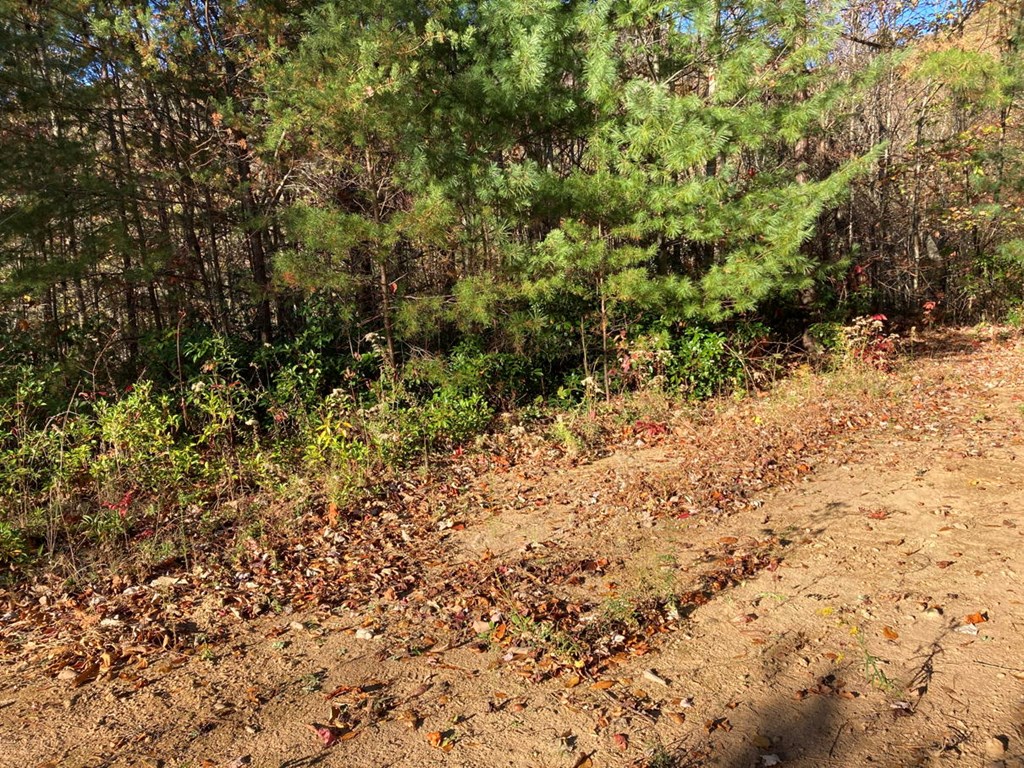 4.62 Acr Horton Road, MURPHY, North Carolina image 9
