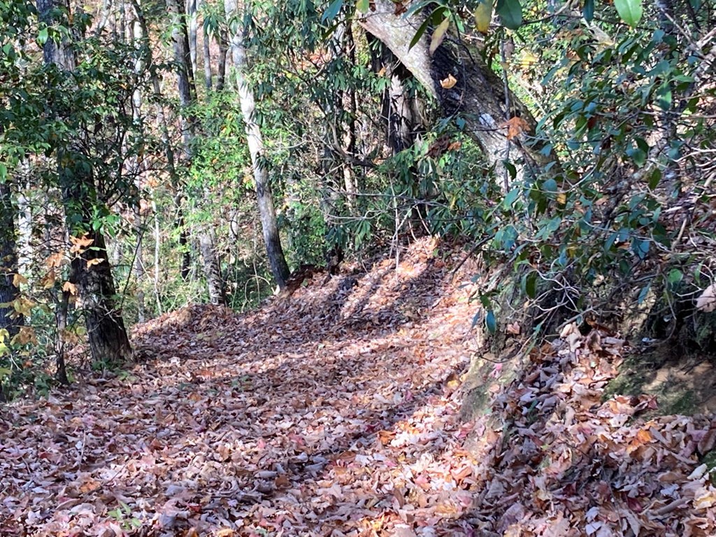 4.62 Acr Horton Road, MURPHY, North Carolina image 15