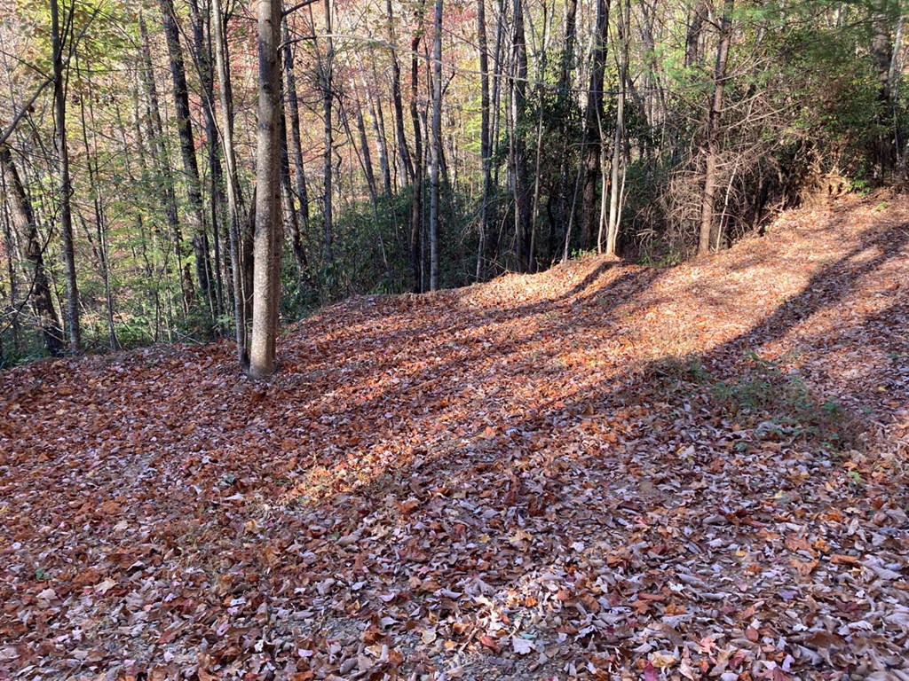 4.62 Acr Horton Road, MURPHY, North Carolina image 13