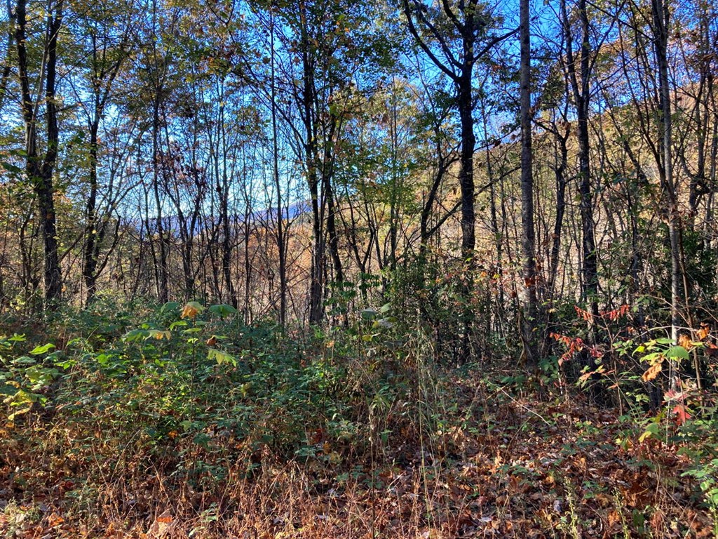 4.62 Acr Horton Road, MURPHY, North Carolina image 5