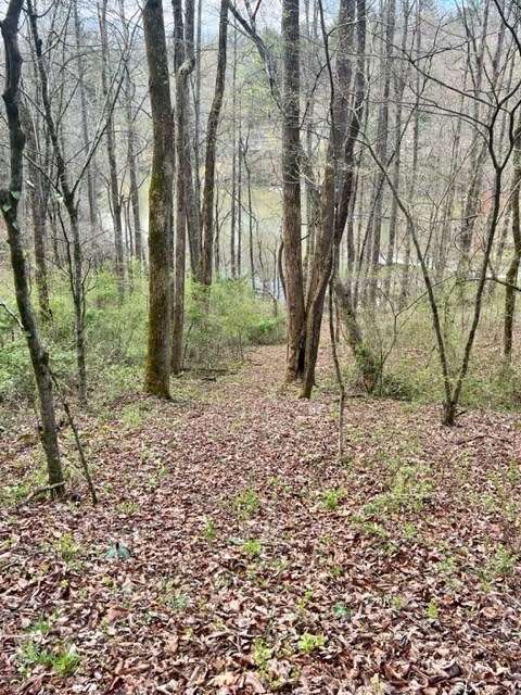 Lakeside Terrace #1, ROBBINSVILLE, North Carolina image 8