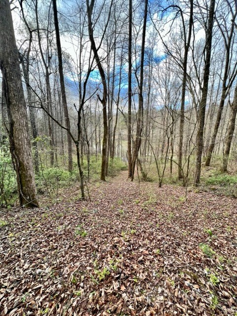 Lakeside Terrace #1, ROBBINSVILLE, North Carolina image 7