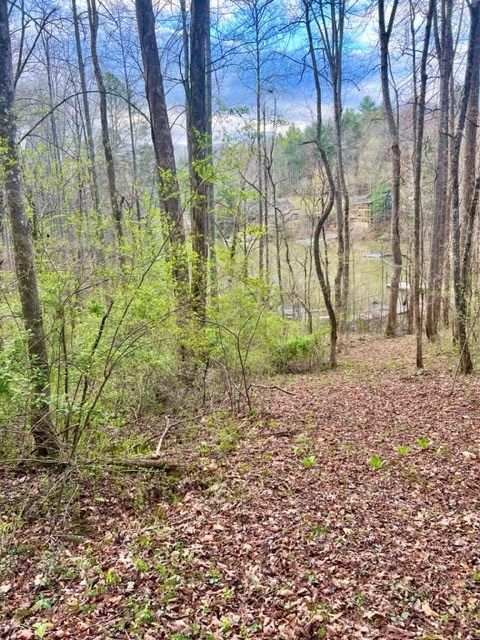 Lakeside Terrace #1, ROBBINSVILLE, North Carolina image 4