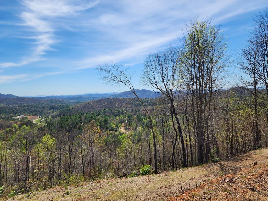 Photo 1 of 17 — 674 Warbler Rd Unit 40, MURPHY, NC 28906