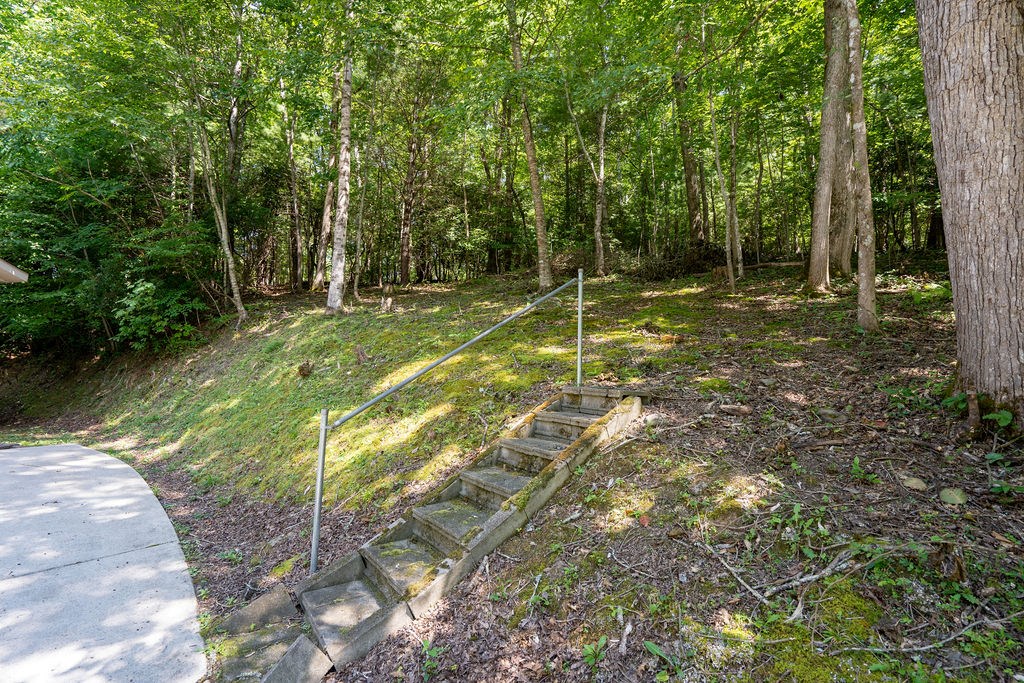 311 Blair Creek Ridge, HAYESVILLE, North Carolina image 3