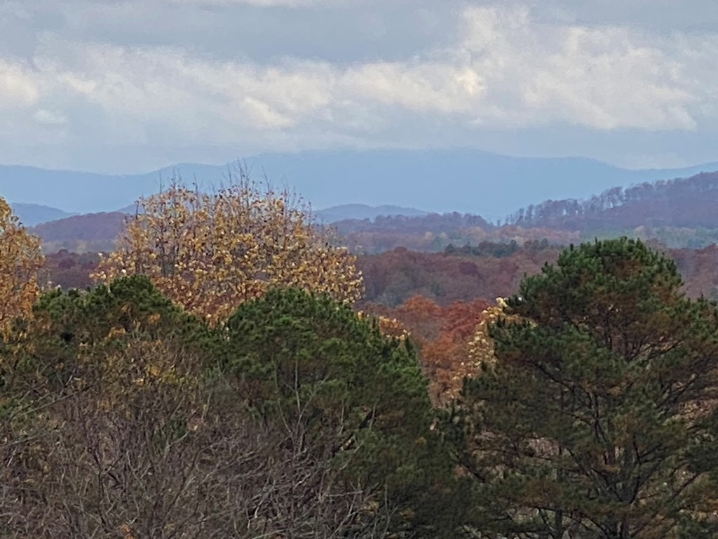 Lt 52 Colonsay Trace #52, BLAIRSVILLE, Georgia image 3