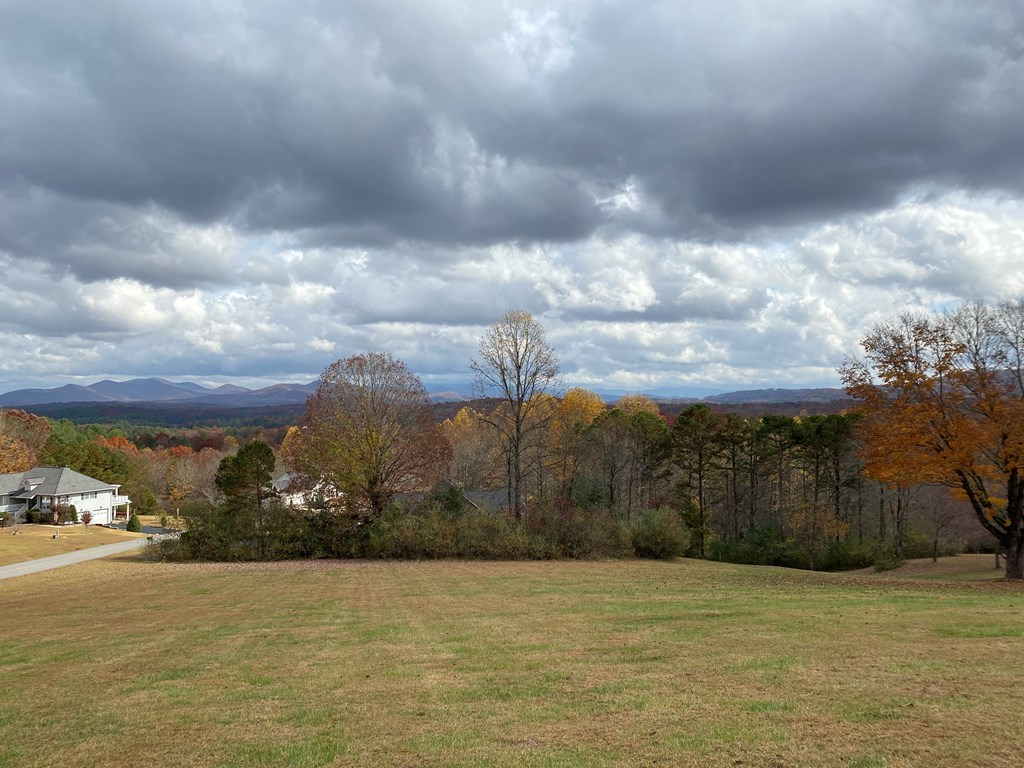 Lt 52 Colonsay Trace #52, BLAIRSVILLE, Georgia image 6