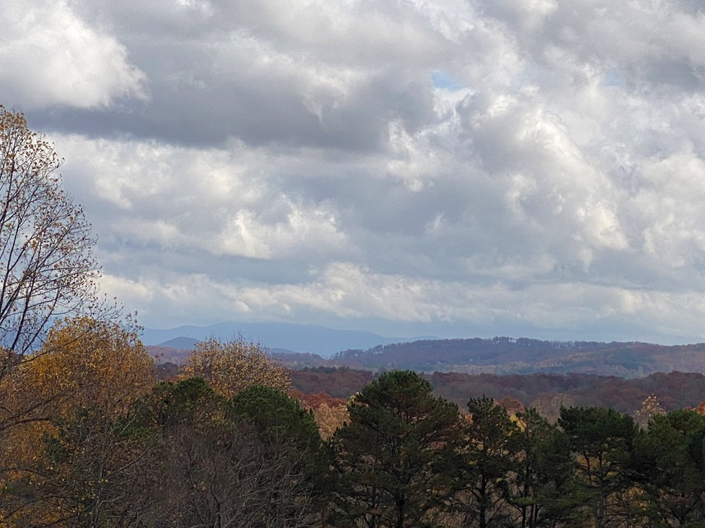 Lt 52 Colonsay Trace #52, BLAIRSVILLE, Georgia image 10