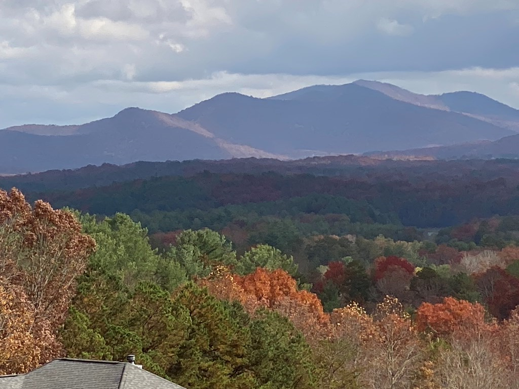 Lt 52 Colonsay Trace #52, BLAIRSVILLE, Georgia image 2