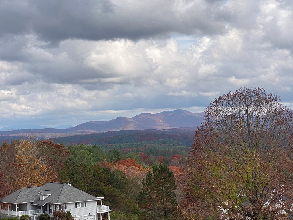 Lt 52 Colonsay Trace #52, BLAIRSVILLE, Georgia image 14