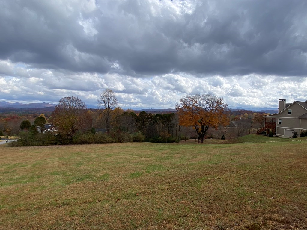 Lt 52 Colonsay Trace #52, BLAIRSVILLE, Georgia image 9