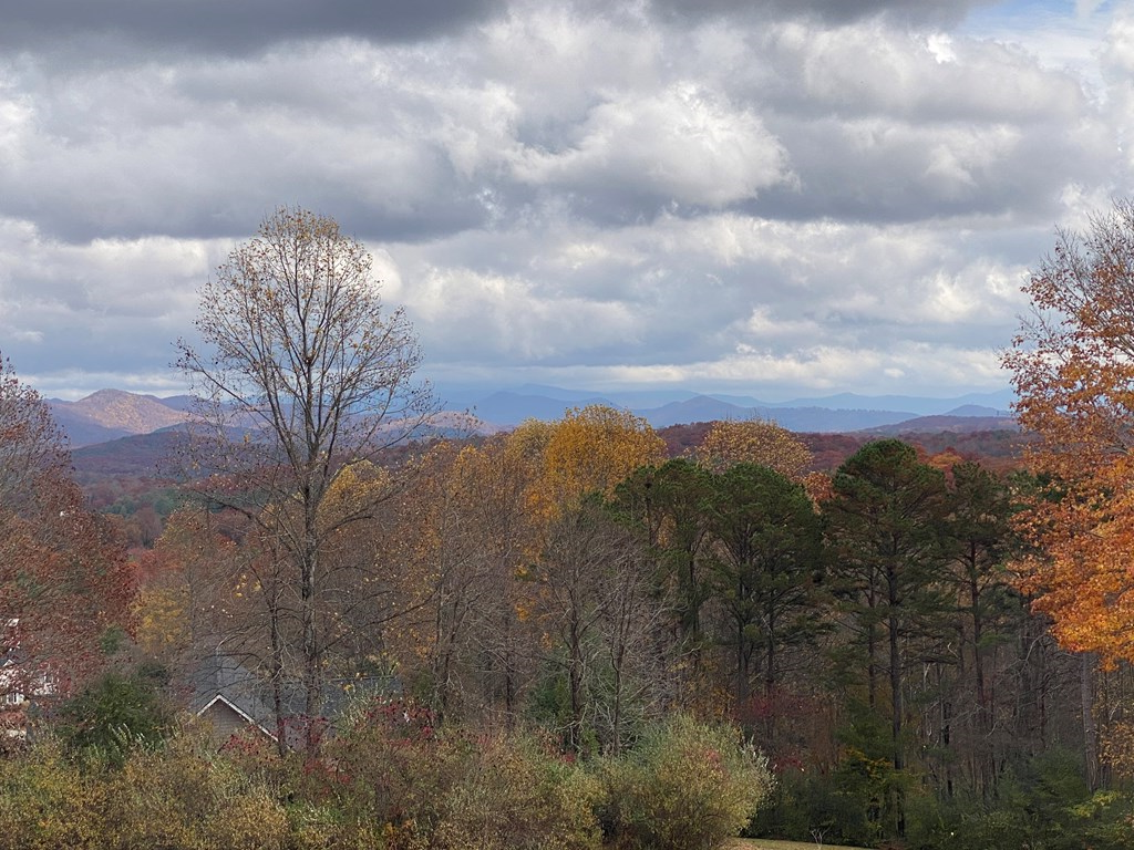 Lt 52 Colonsay Trace #52, BLAIRSVILLE, Georgia image 13