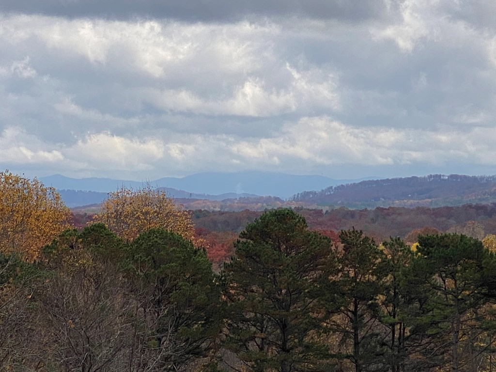 Lt 52 Colonsay Trace #52, BLAIRSVILLE, Georgia image 8