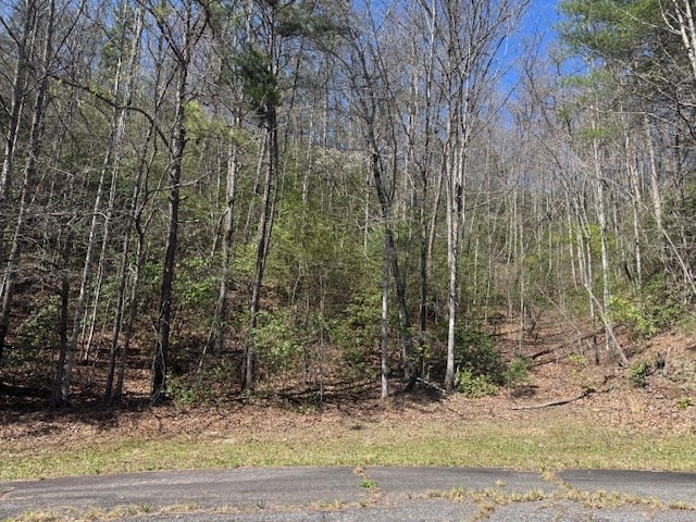 000 Holland Farm Road, ANDREWS, North Carolina image 23